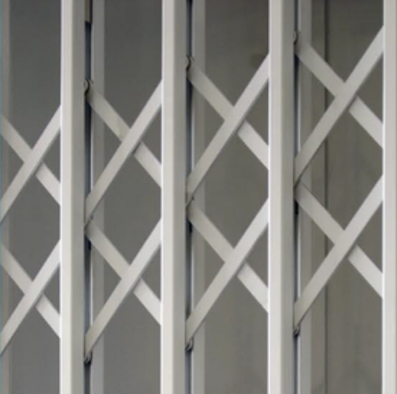 SR3 Eclipse maximum security grille